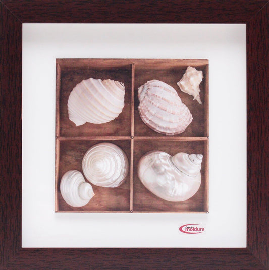 Quadro Pronto conchas brancas 24 CM x 24 CM